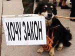 Прошло шествие и митинг в поддержку Шпака и защиты животных