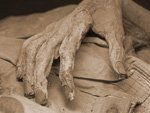 В петербургском ВУЗе нашли мумифицированные останки человека