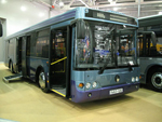 Петербуржцы будут ездить на «олимпийских» автобусах