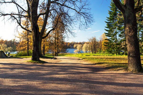 Долгожданное открытие парков и летних кафе в Петербурге