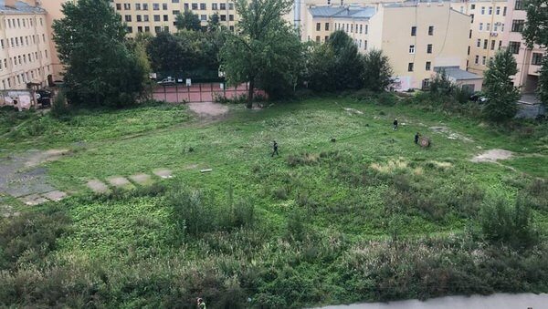 «Общественный сад» Петроградского района выкосили