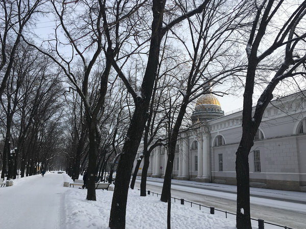 Плохая уборка снега и льда в Петербурге привели к увеличению нагрузки на травмпункты