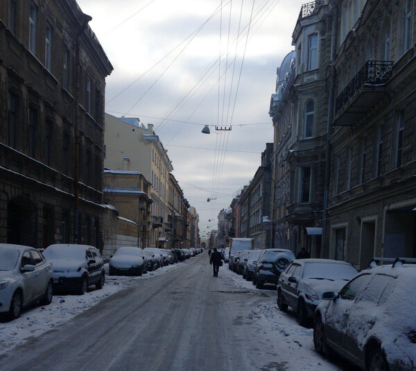 Смольный не смог спасти Петербург от снежных завалов