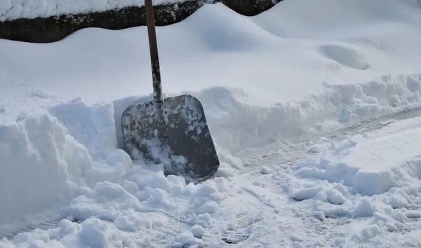 Петербуржцы назвали «показухой» ролик коммунальщиков об уборке снега