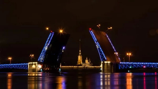 В честь Дня Конституции включат праздничное освещение на Дворцовом мосту и Большом проспекте Петроградской стороны