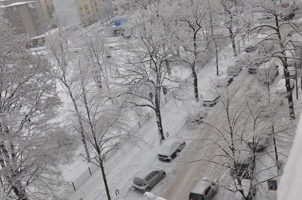 Из Центрального района Санкт-Петербурга было вывезено 15 грузовиков со снегом