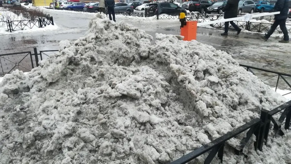 Комблаг решил не чистить от снега часть Комендантского проспекта