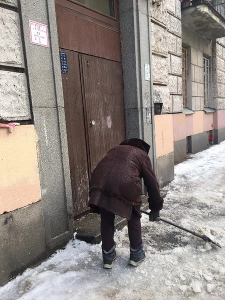 Устали ждать: петербуржцы вооружились лопатами и самостоятельно убирают город от снега