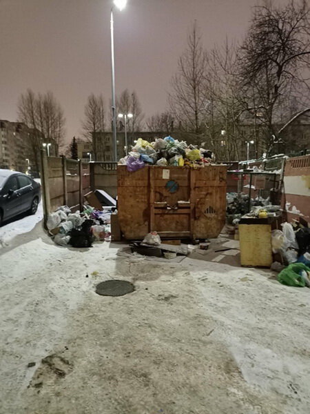 Жители Петербурга жалуются Смольному на горы мусора и трупы крыс