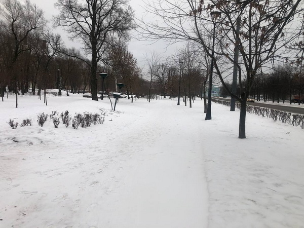 Заваленный снегом Петербург встретит Путина в День полного снятия блокады Ленинграда