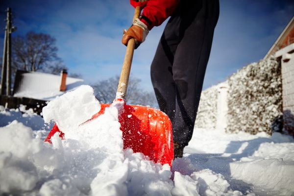 Добровольцы занялись очисткой двора от снега в Адмиралтейском районе