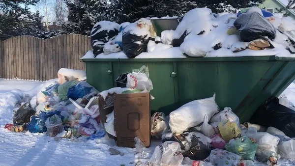 Петербуржцы просят Минобороны помочь с расчисткой города от мусорных «куч Беглова»