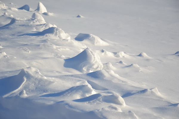 Стало известно, сколько кубометров петербургского снега уничтожили этой зимой