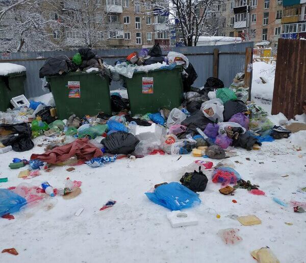 Диаспора рулит: провалившую уборку Петербурга от мусора компанию возглавляет знакомый Беглова