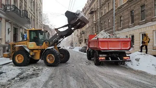 Коммунальщики Петербурга уничтожили городские водостоки