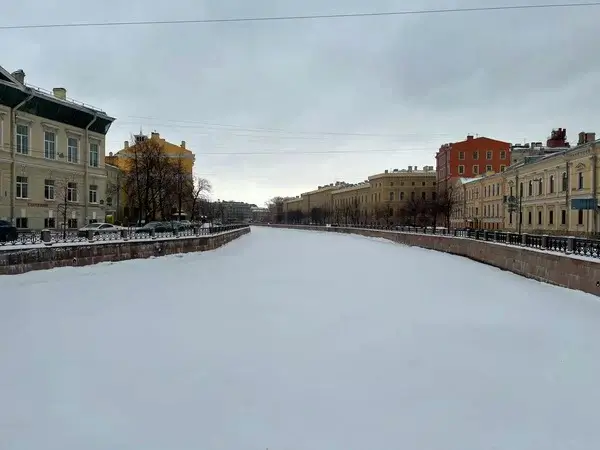 Сергей Вострецов раскритиковал Смольный за очередной провал снегоуборки в Петербурге