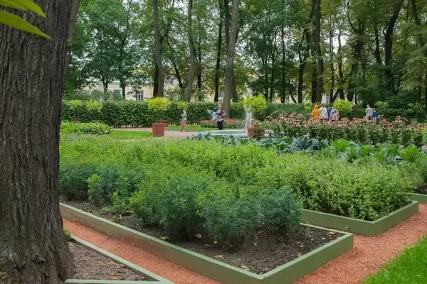 Удалось воссоздать огород Петра Великого в Летнем саду