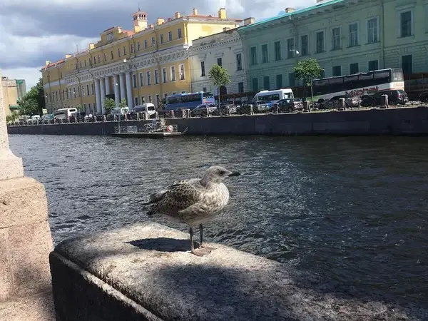 Петербург лидирует среди направлений по программе Больше, чем путешествие