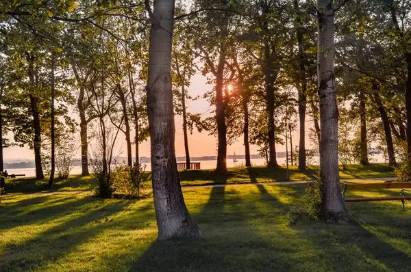 Через два года откроют Линейный парк на Васильевском острове
