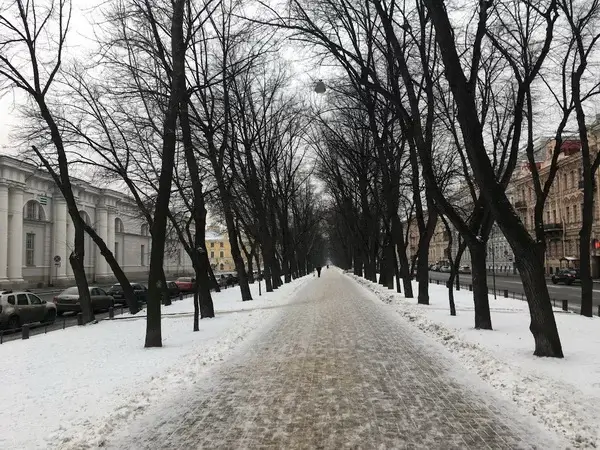 Повелий пообещал научить петербуржцев содержать город в чистоте на фоне провала снегоуборочной кампании