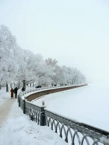 Петербуржцы недовольны уборкой города от снега
