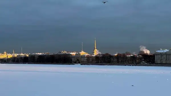 Жителей Петербурга предупредили о сильных морозах 8 января